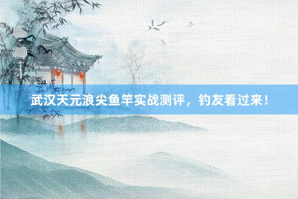 武汉天元浪尖鱼竿实战测评，钓友看过来！